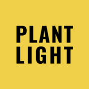 The Beginner's Guide to Lighting for Houseplants